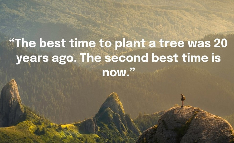 Load video: A video showcasing LUMBERY&#39;s tree-planting initiative, where each purchase contributes to reforestation and a greener future.